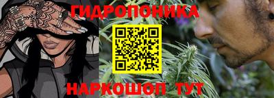 гашик Ирбит