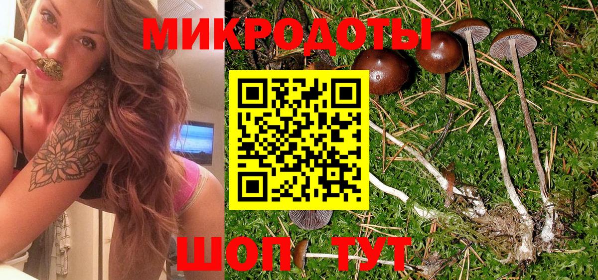 Псилоцибиновые грибы Cubensis  Вход с VPN  Курчатов  Псилоцибиновые грибы GOLDEN TEACHER 