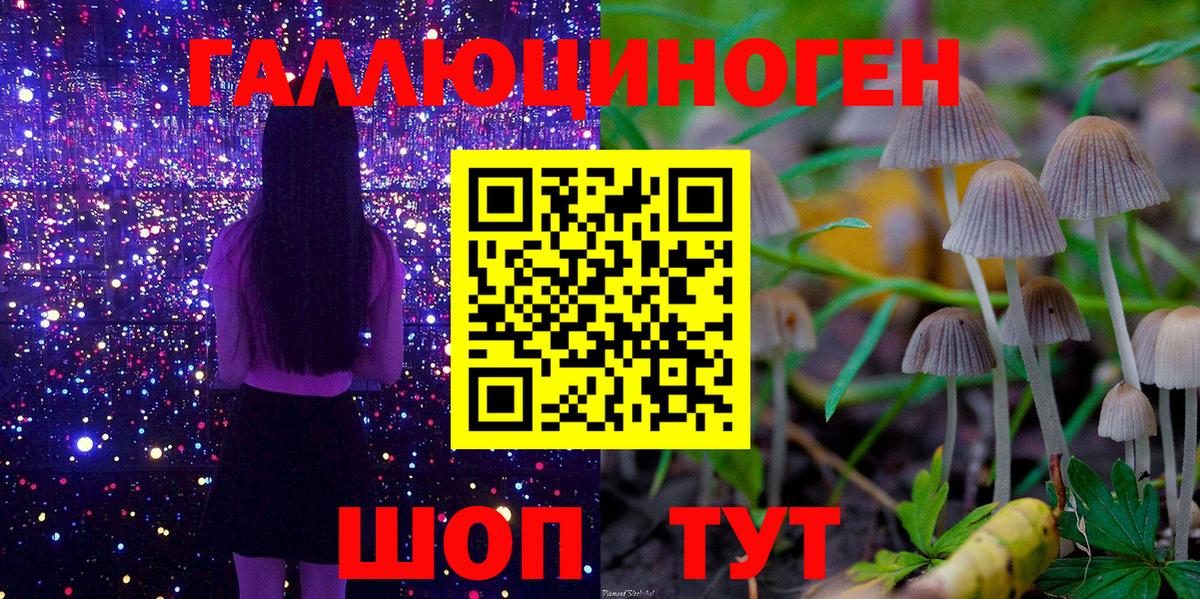 Галлюциногенные грибы ЛСД Курчатов